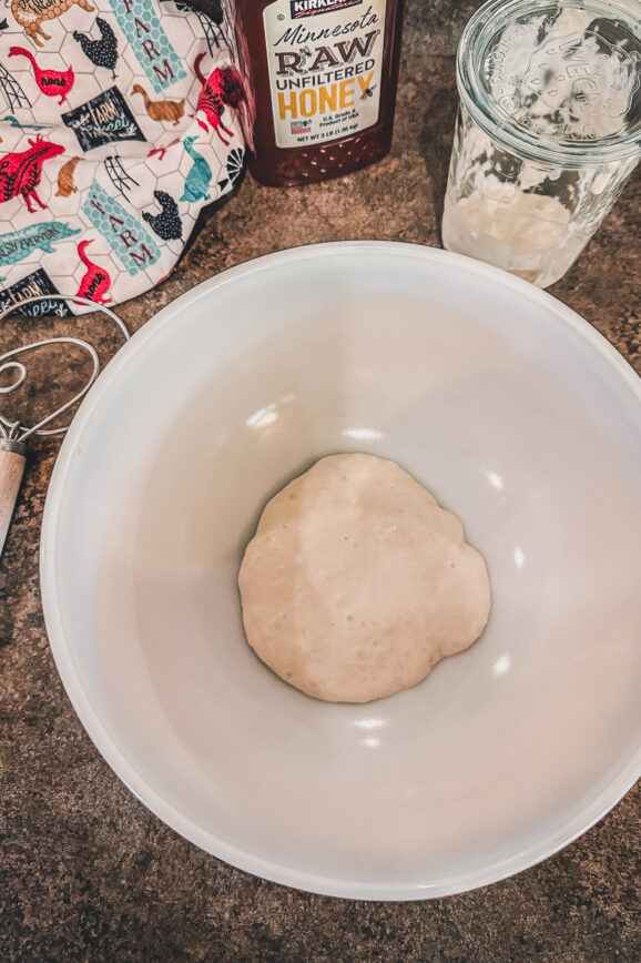 sourdough dough